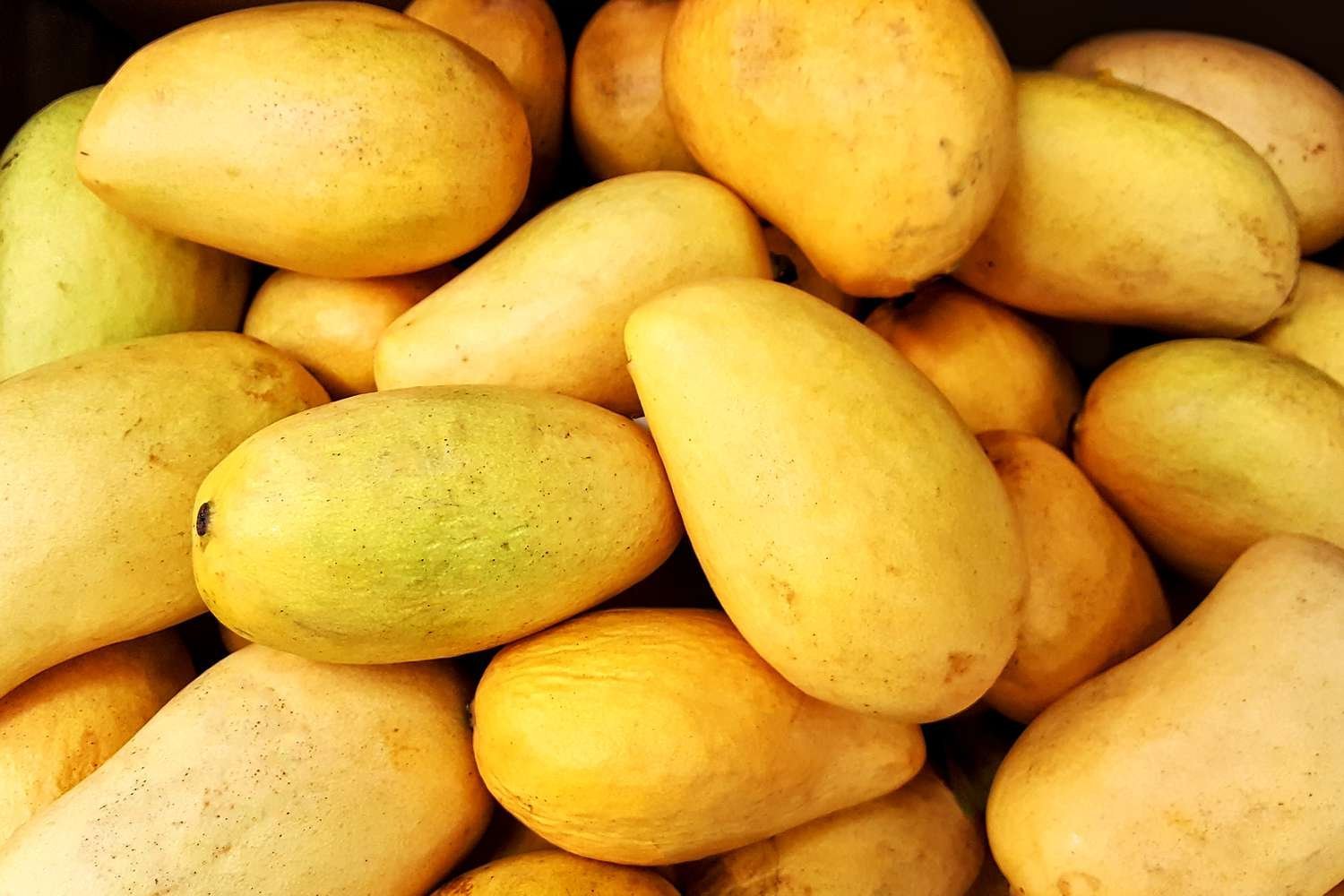 Ataulfo-Mango-Fruit-Box.jpg