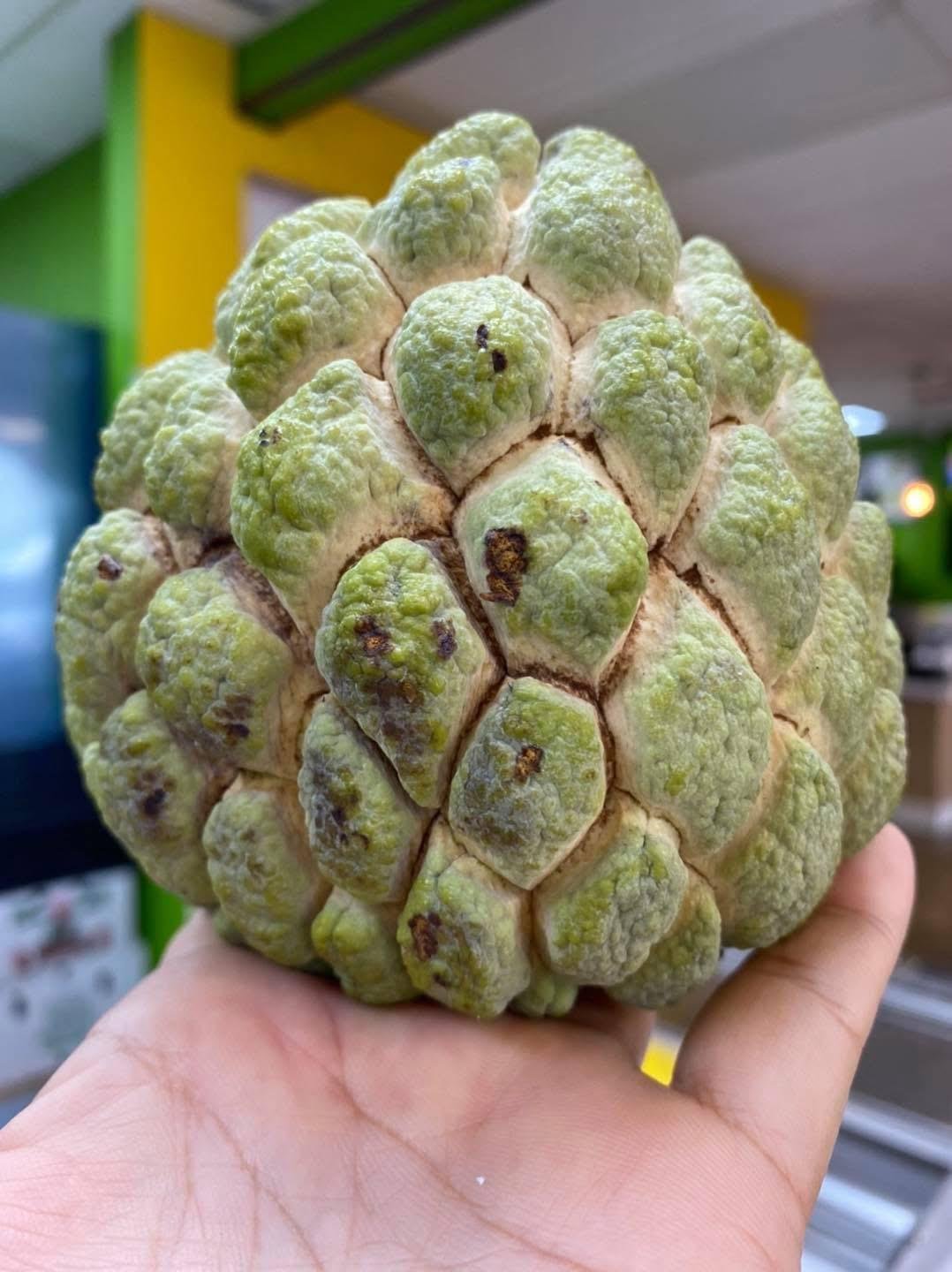 Atis-Fruit.jpeg
