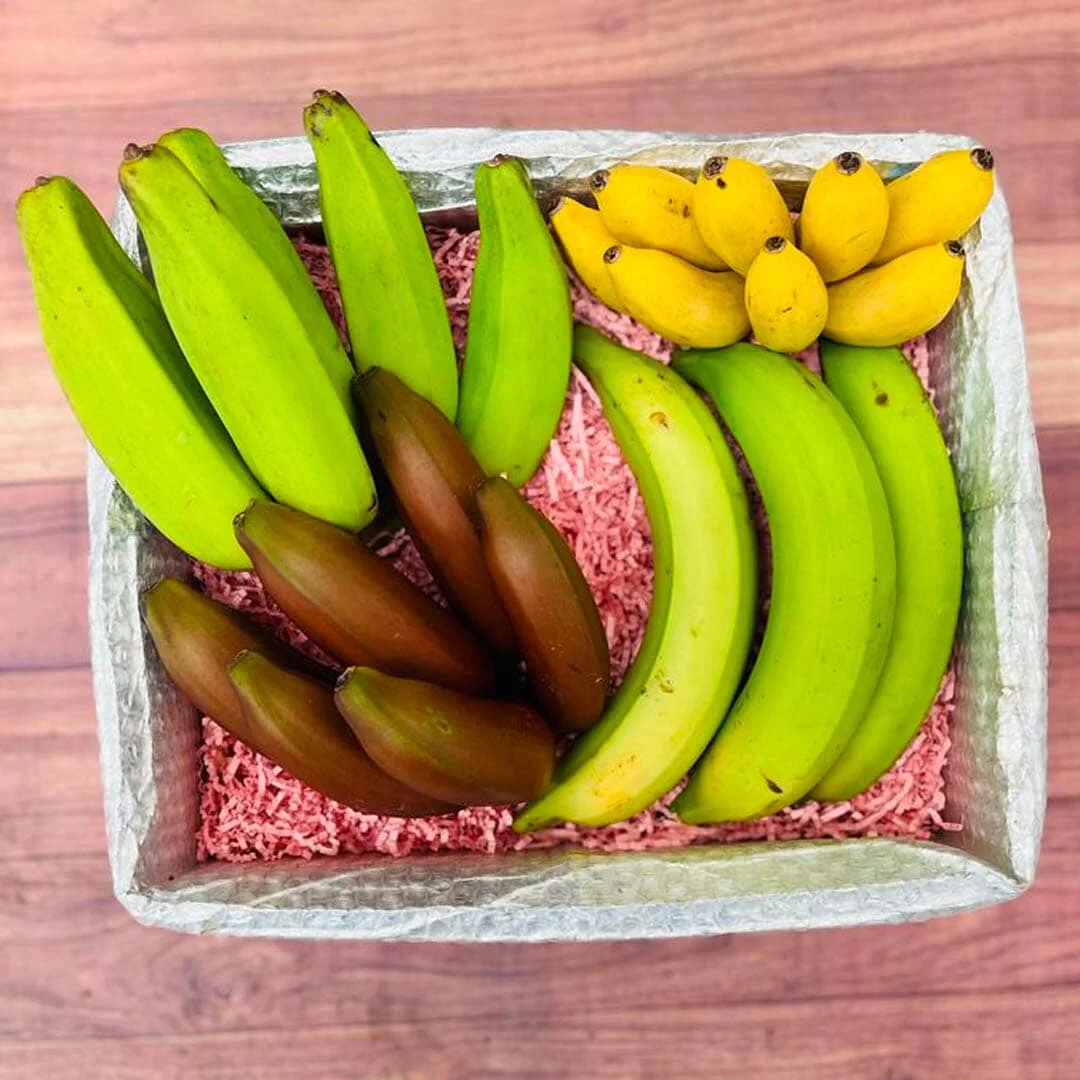 Banana-Fruit-Basket-MIX.webp