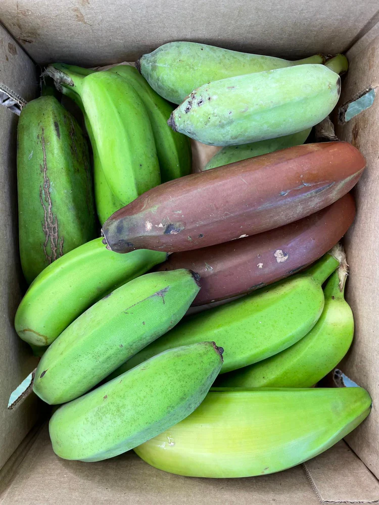Banana-Fruits.webp