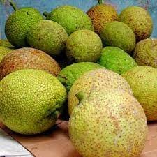 Buy Breadfruit Tropical Box USA | Tropical Fruits Delivery