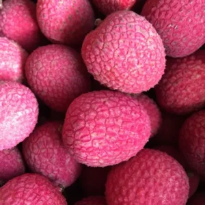 new Brewster Lychee Red Lycheee Box – Fresh Arrival