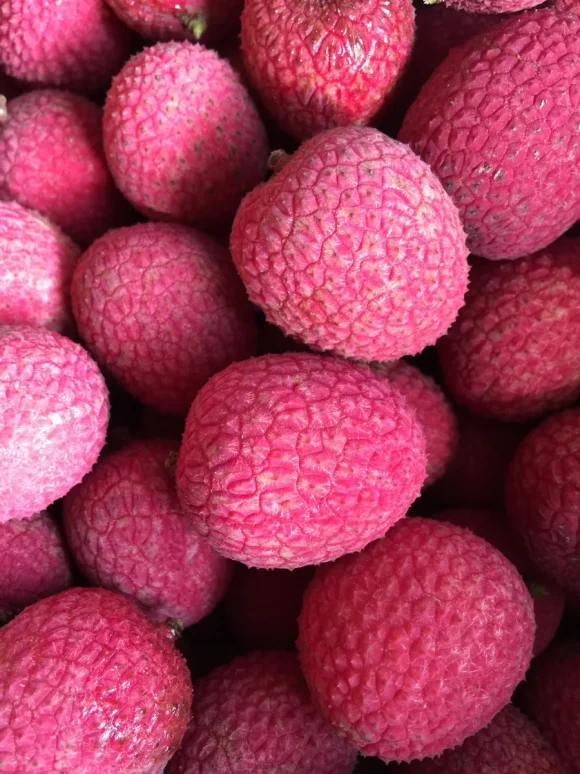 Brewster-Lychee-Fruits-580x774-1.webp