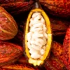 Buy Cacao Fruit Box USA | Tropical Fruits Delivery