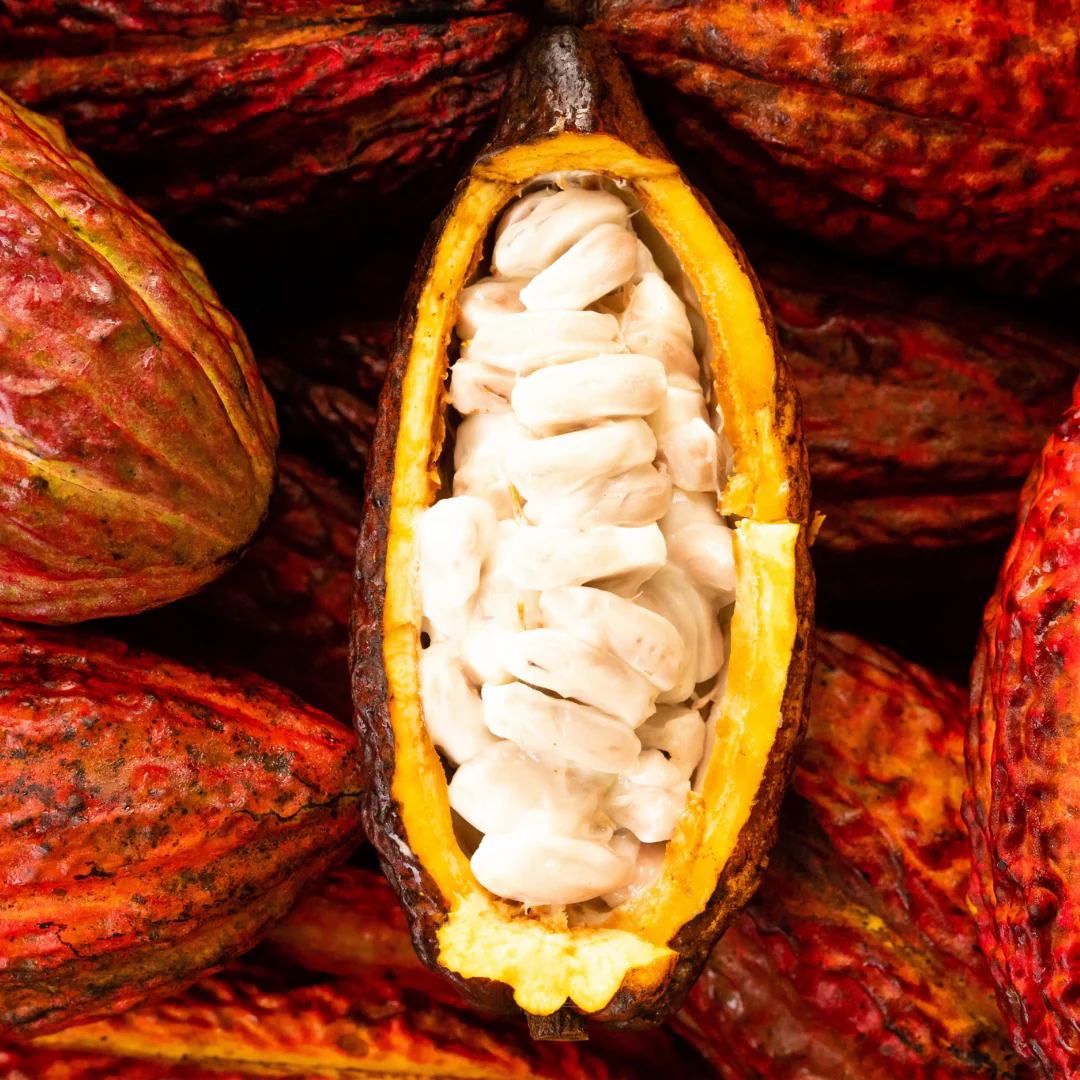 Cacao-Fruit-Boxs.webp