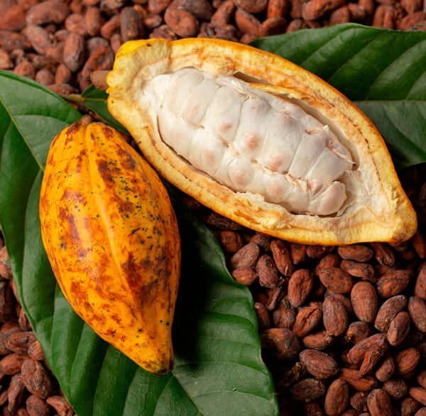 Cacao-Gift-Fruit-Box.jpg