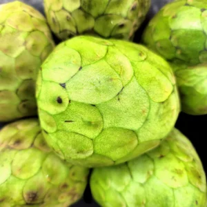 Buy Cherimoya Fruit Box | Custard Apple | Annona Cherimola