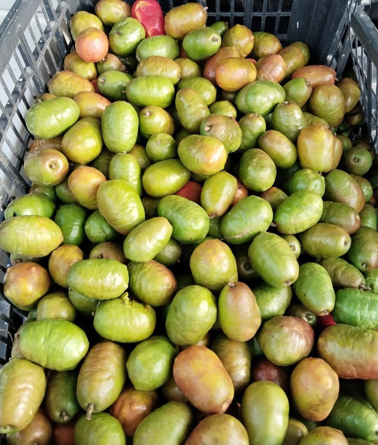 Ciruela-fruit-Box.jpeg