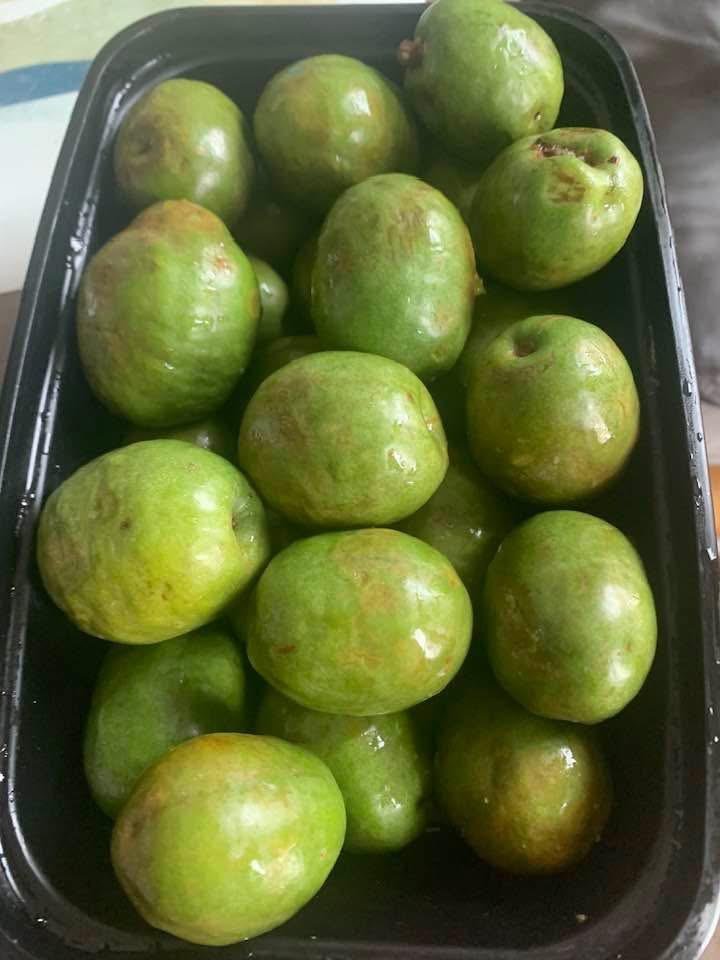 Ciruela-tree-cultivation.jpeg
