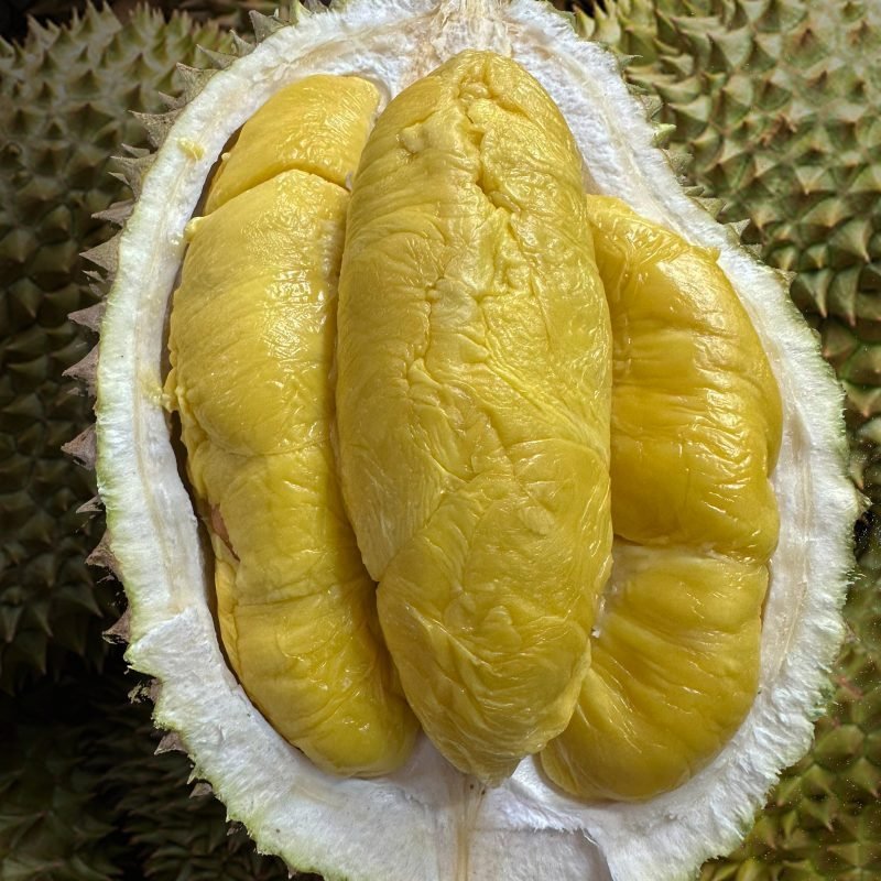 Durian-Fruit-BoxSSS.jpg