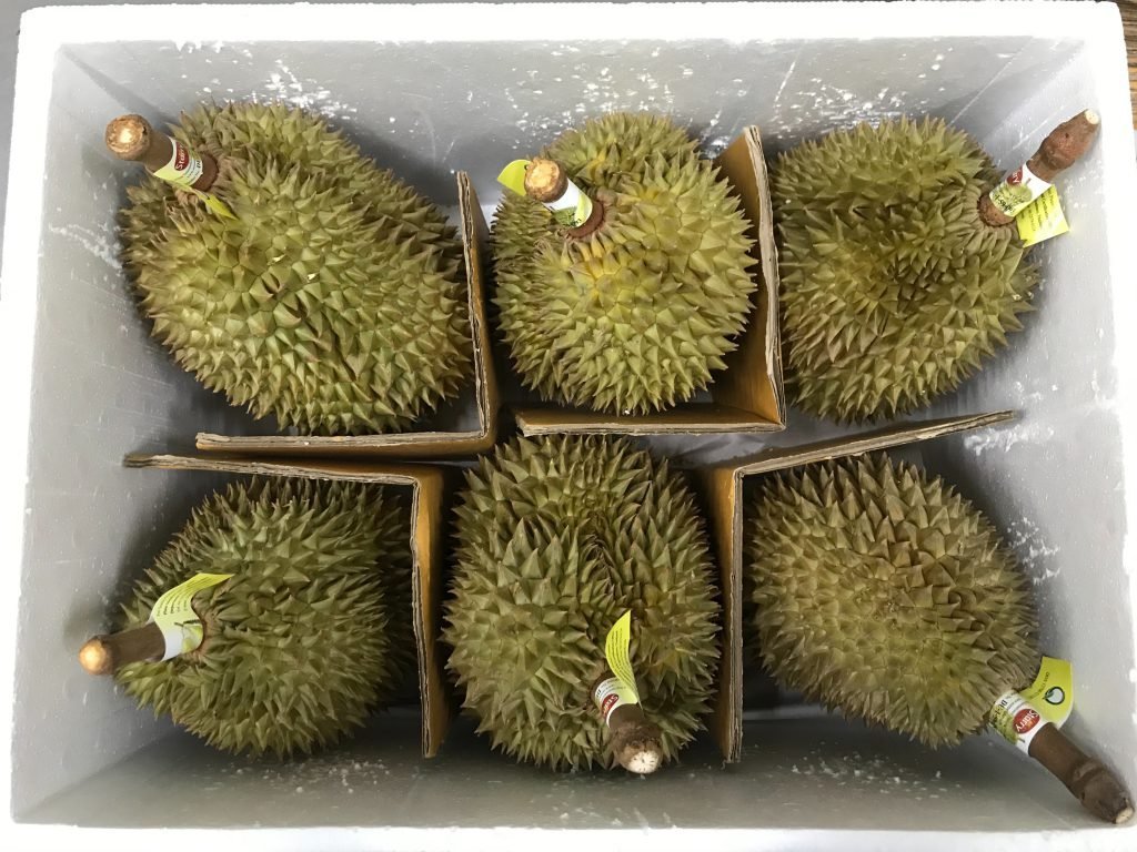 Durian-Fruit-BoxSSSSS.jpg