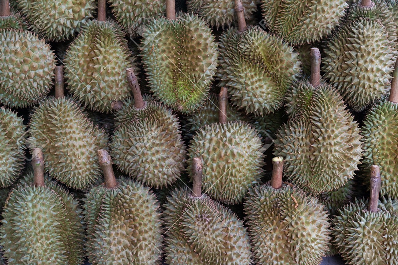 Durian-fruit-box.jpg