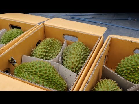 Durian-fruit-boxes.jpg