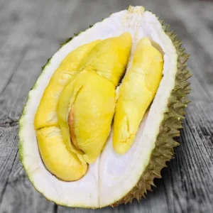 Buy Durian Special Pack USA | 8 Distinct Varieties