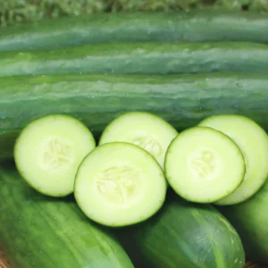 Buy Fresh Mini Cucumbers Fruit Box USA | Tropical Fruits Delivery