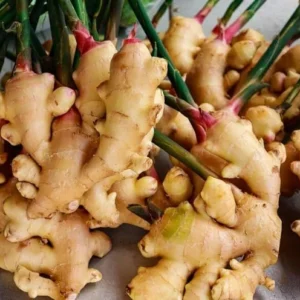 Buy Ginger Seeds Pack (Zingiberaceae) USA | Tropical Fruits Delivery