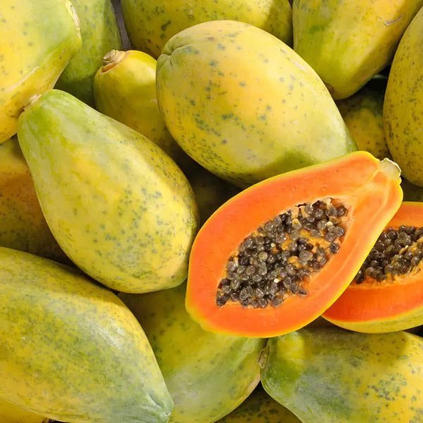 Golden-Papaya-.jpg