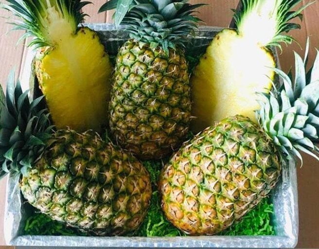Golden-Pineapple-Fruit-Box-e1751648202216.jpg