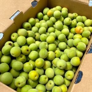 Buy Green Spanish Plum Fruit Box USA | Tropical Fruits Delivery