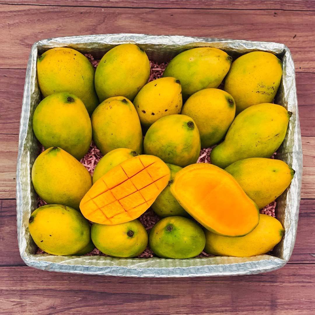 Haitian-Mango-Tropical-Fruit-Boxs.jpg
