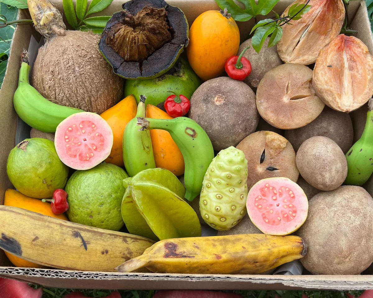Hello-Spring-Tropical-Fruit-e1751628122988.webp