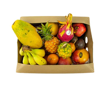 Hello-TropiKids-Fruit-Activity-Boxs.webp