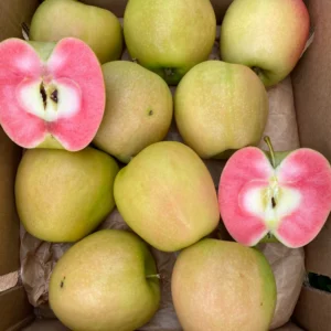 Buy Hidden Rose Apples Fruit Box USA | Tropical Fruits Delivery