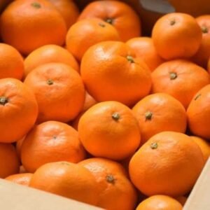Buy Japanese Jelly Orange Fruit Box USA | Tropical Fruits Delivery