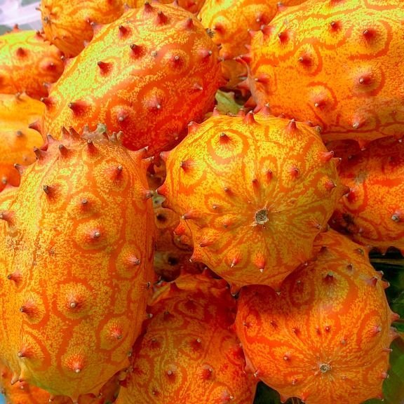 Kiwano-Melon-Fruit-Box.jpg