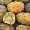 Buy Kiwano Melon Fruit Box USA | Tropical Fruits Delivery