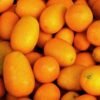 Buy Kumquat Exotic Fruit Box USA | Tropical Fruits Delivery