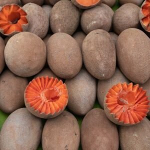 Buy Mamey Sapote Fruit Box USA | Tropical Fruits Delivery