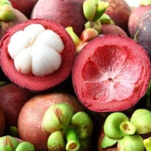 Buy Mangosteen Tropical Fruit Box USA | Tropical Fruits Delivery