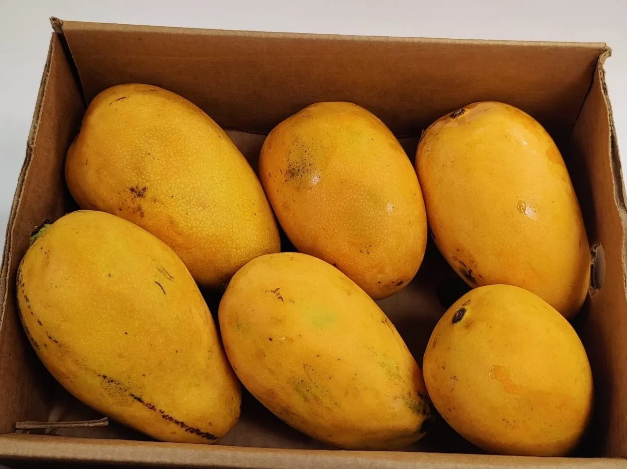 Mingolo-Mango-fruit-Box-e1751633556749.webp
