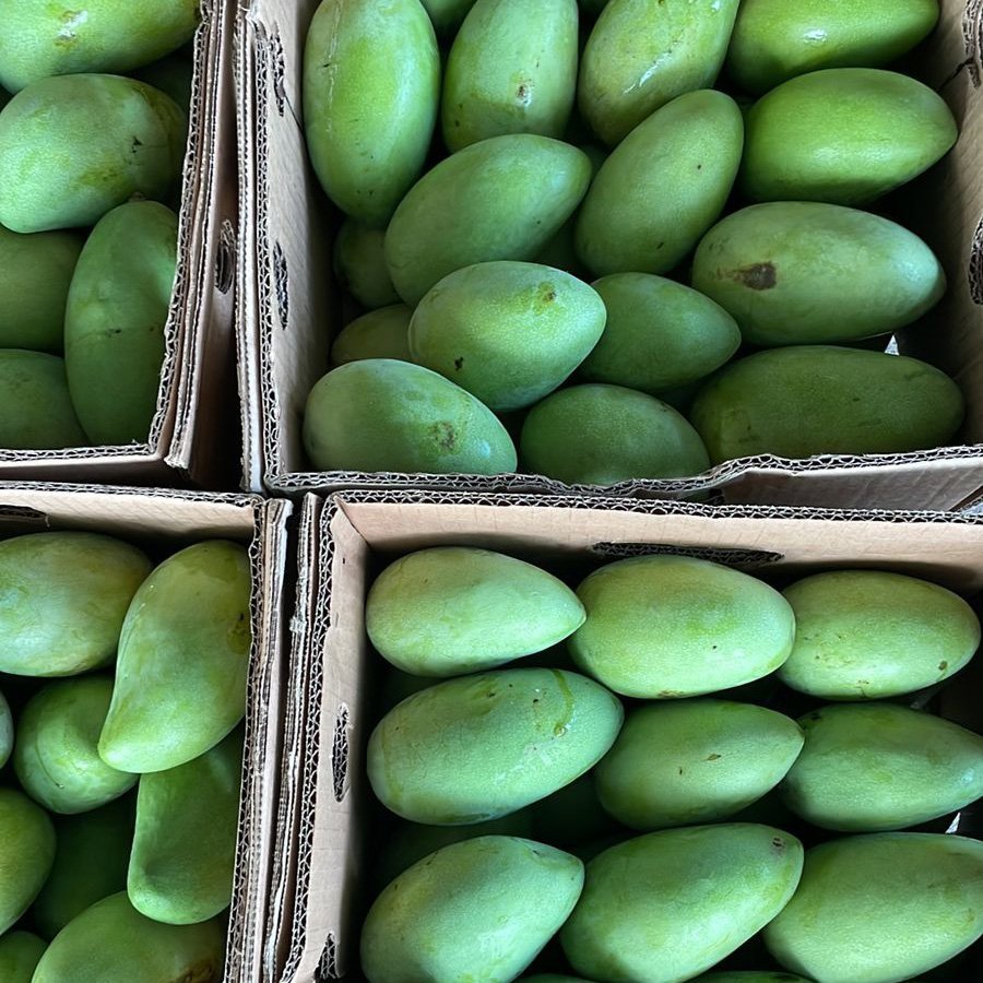Mingolo-Mango-fruit-Boxs.jpg