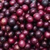 Buy Muscadine Grapes Fruit Box USA | Tropical Fruits Delivery
