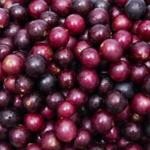 Buy Muscadine Grapes Fruit Box USA | Tropical Fruits Delivery