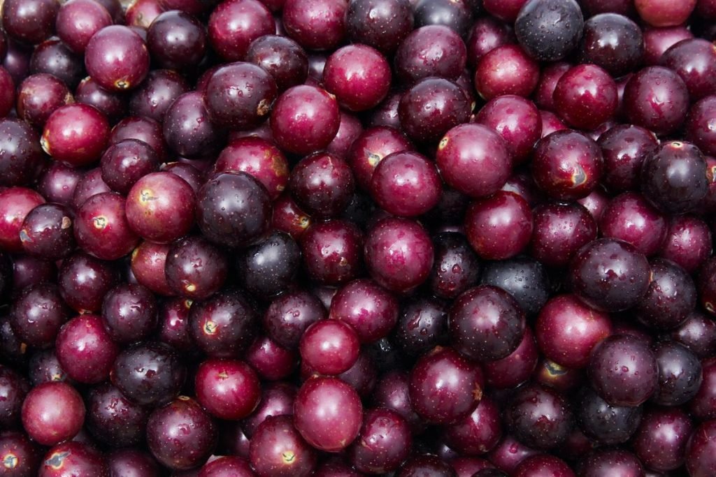 Muscadine-Grapes-Fruit-BoxES.jpg