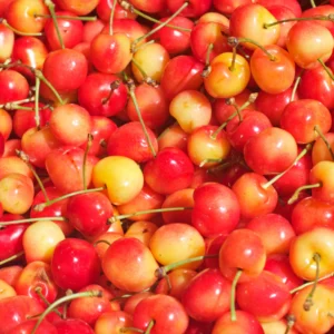 Buy Rainier cherries Fruit Box USA | Tropical Fruits Delivery