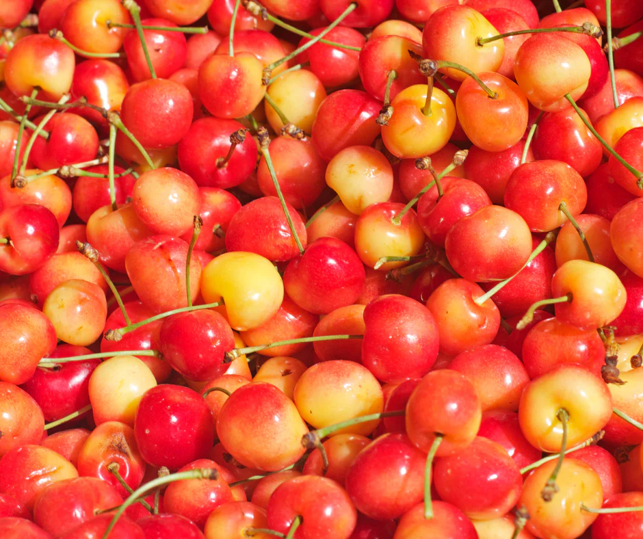 Rainier-cherries-Fruit-Box.webp