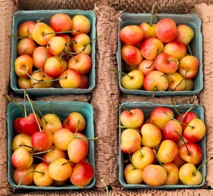 Rainier-cherries-Fruit-Boxes-e1751641512888.jpg