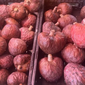Buy Red Atemoya Fruit Box USA | Tropical Fruits Delivery