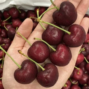 Buy Red Cherry Fruit Box USA | Tropical Fruits Delivery