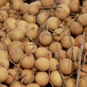 Buy Fresh Longan Tropical Fruit Box USA | Tropical Fruits Delivery