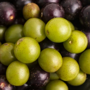 Buy Scuppernong Muscadine Grapes Fruit Box USA | Tropical Fruits Delivery
