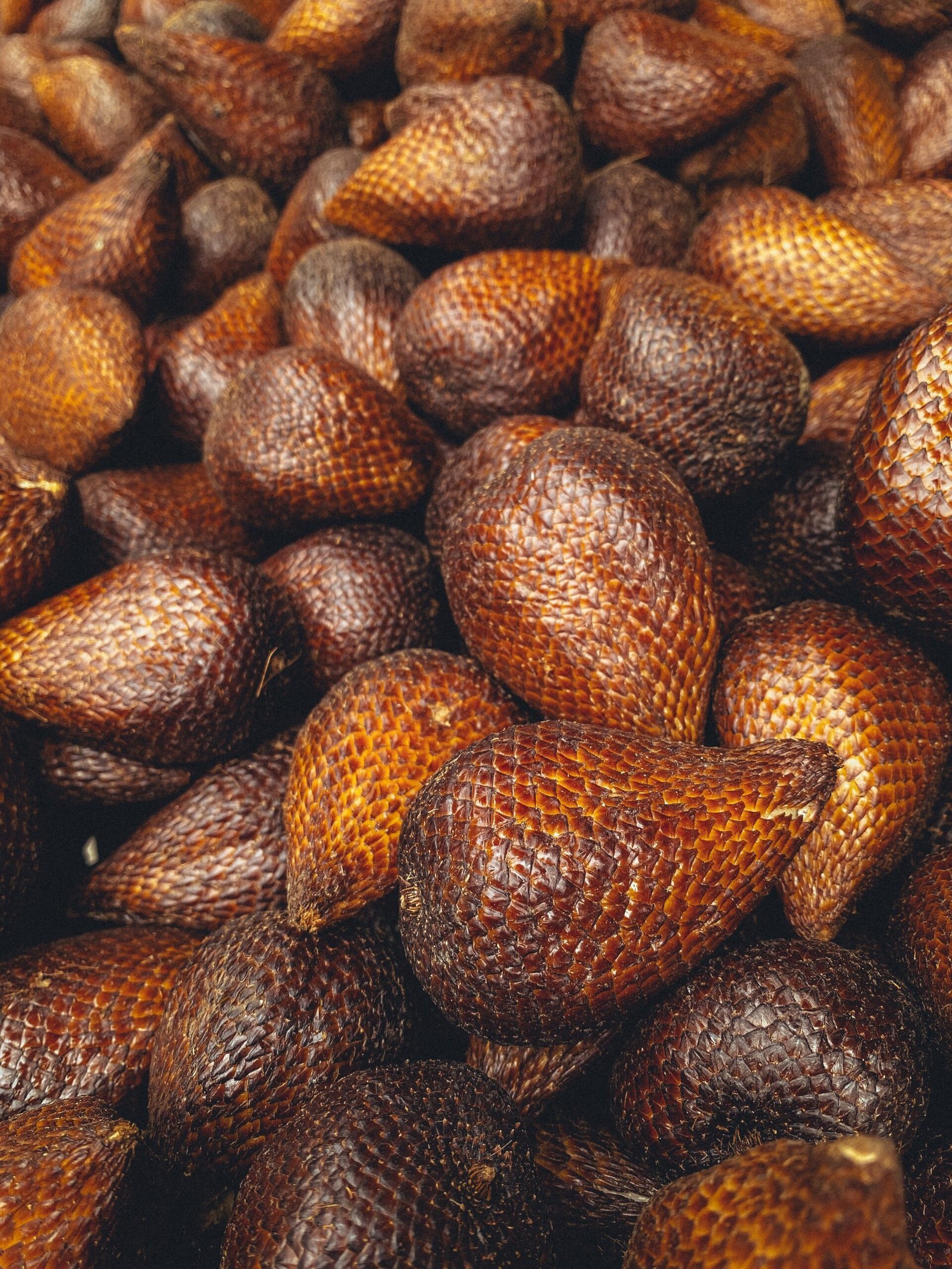 Snake-Fruit-Box.jpg