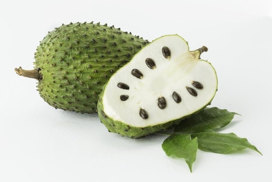Soursop-Tropical-Fruit-Box-Guanabana.jpg