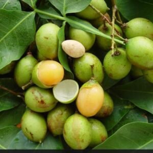 Buy Spanish Limes Fruit Box USA | Tropical Fruits Delivery