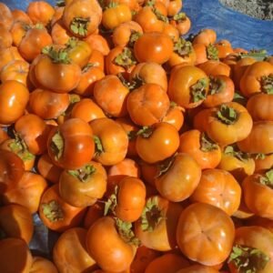 Buy Spanish Persimmons Fruit Box USA | Tropical Fruits Delivery