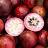 Buy Star Apple Tropical Fruit Box USA | Tropical Fruits Delivery